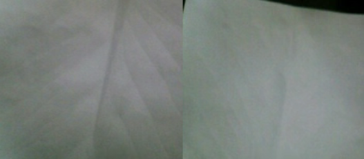 20250625/ce495a90d05061b225205543ac78e618.png